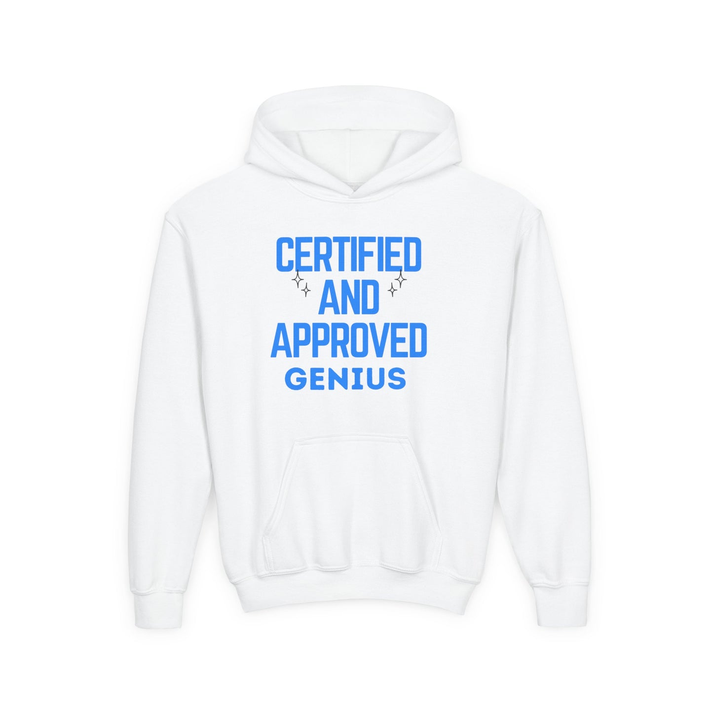 Certified Genius Youth Hoodie, Gift for Kids, Fun Sweatshirt, Approved Hoodie, Back to School, Birthday Gift
