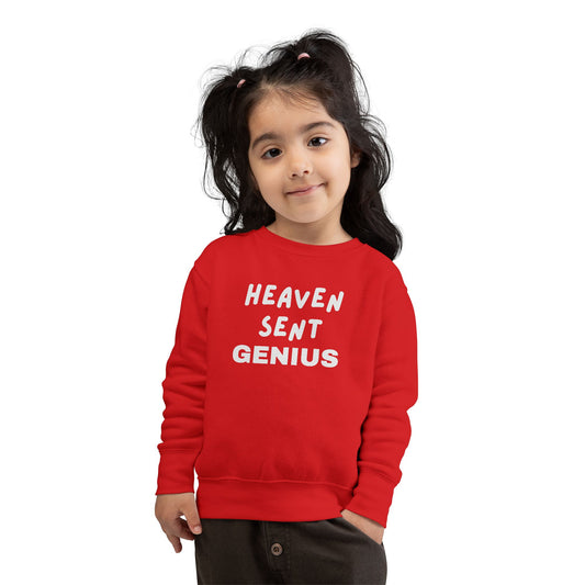 Heaven Sent Genius Toddler Sweatshirt - Cozy Kids Apparel