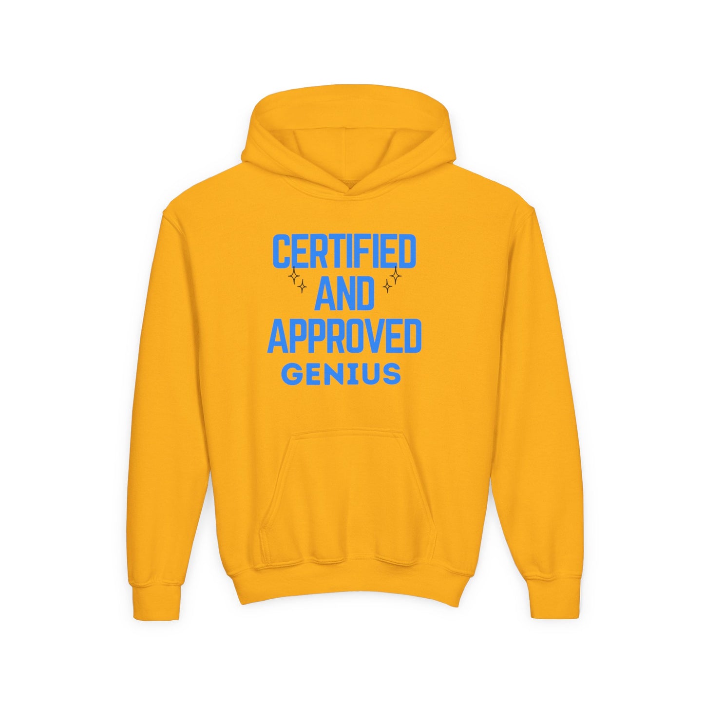 Certified Genius Youth Hoodie, Gift for Kids, Fun Sweatshirt, Approved Hoodie, Back to School, Birthday Gift