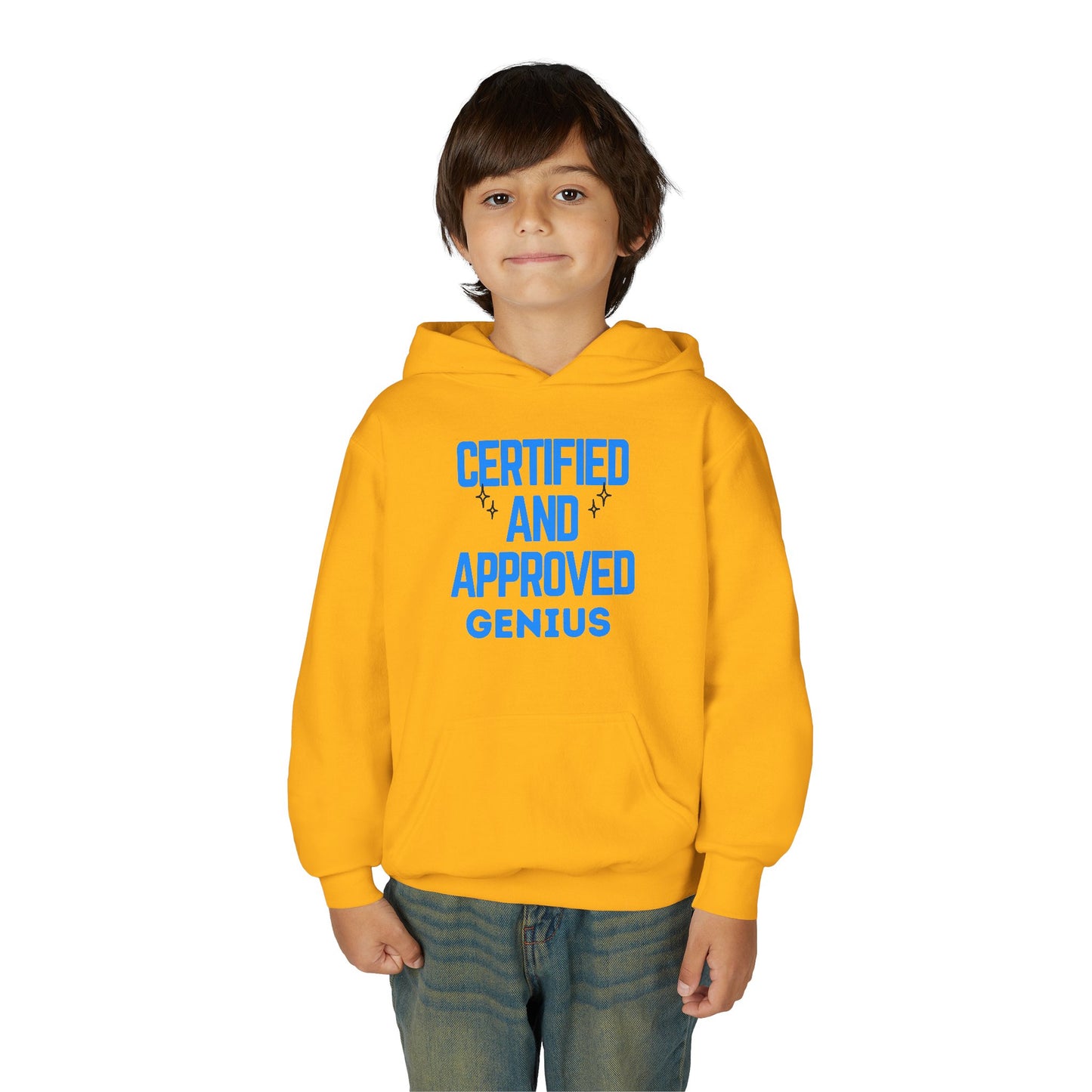 Certified Genius Youth Hoodie, Gift for Kids, Fun Sweatshirt, Approved Hoodie, Back to School, Birthday Gift