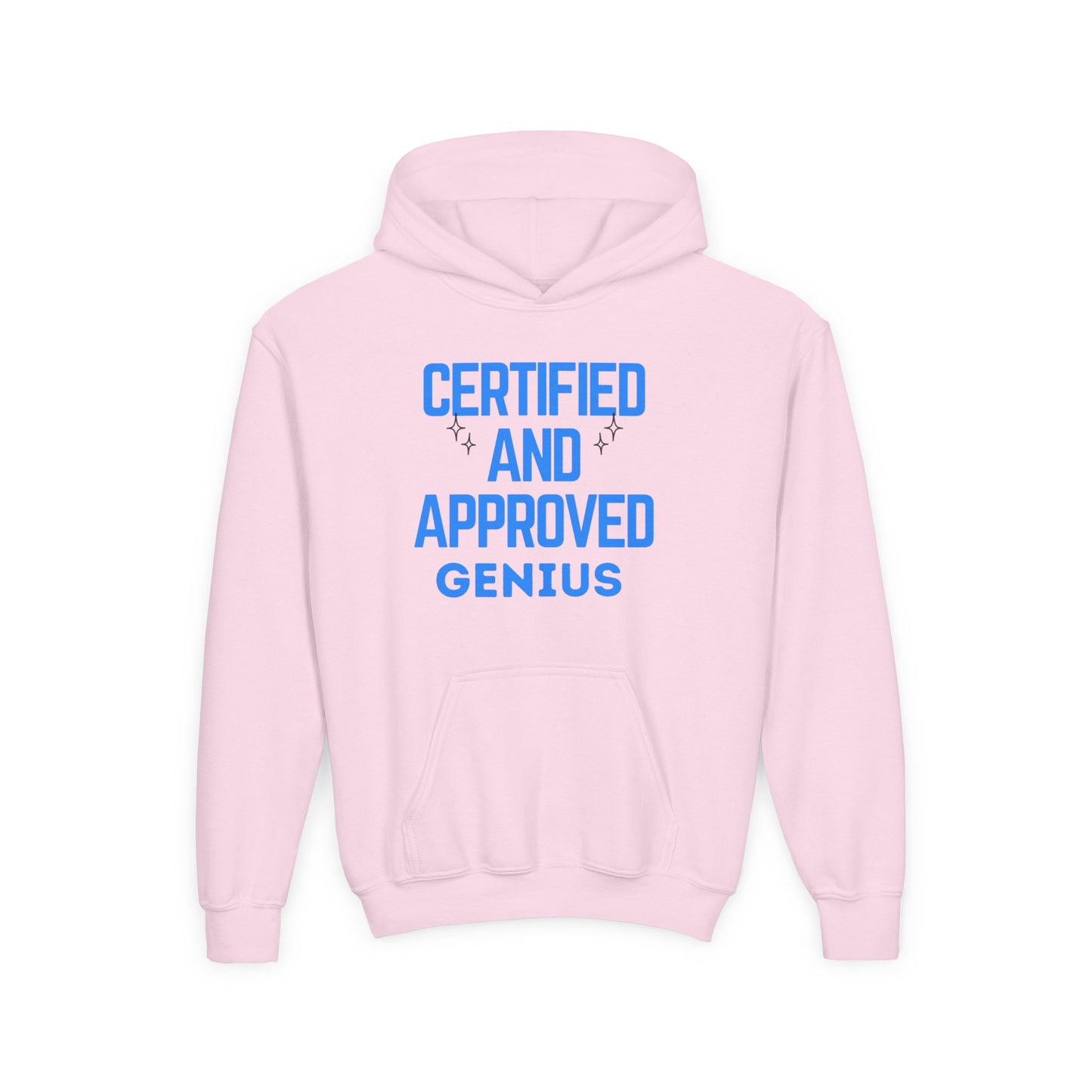Certified Genius Youth Hoodie, Gift for Kids, Fun Sweatshirt, Approved Hoodie, Back to School, Birthday Gift