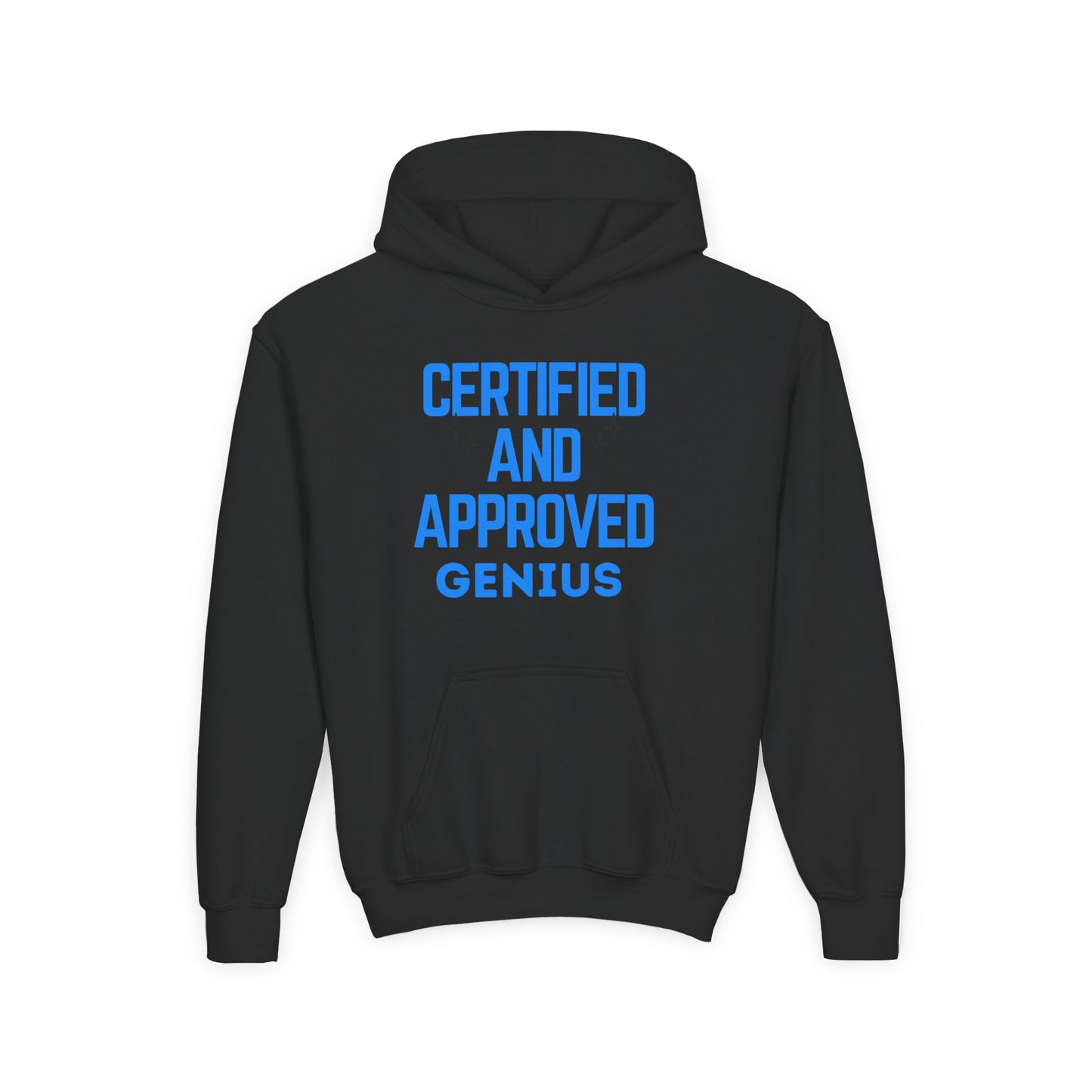 Certified Genius Youth Hoodie, Gift for Kids, Fun Sweatshirt, Approved Hoodie, Back to School, Birthday Gift